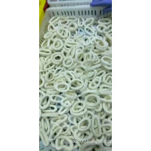 Frozen Squid Ring Illex Squid